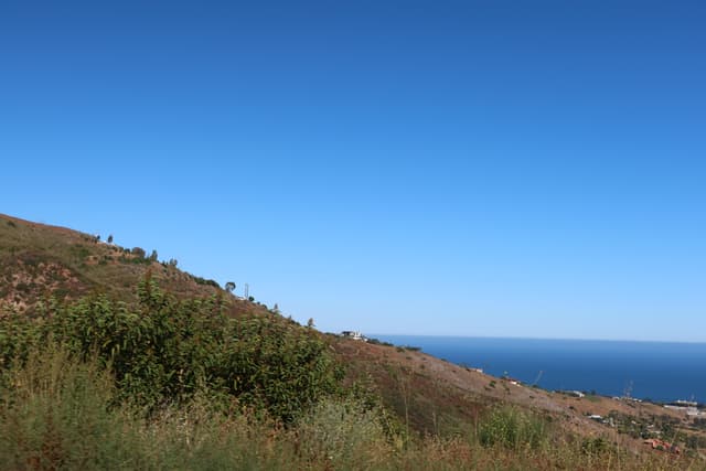 Los Ángeles IMG_0441.jpg