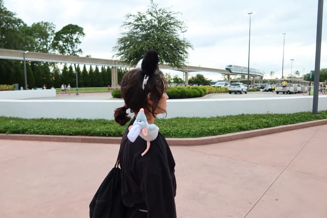 Orlando IMG_1165.jpg