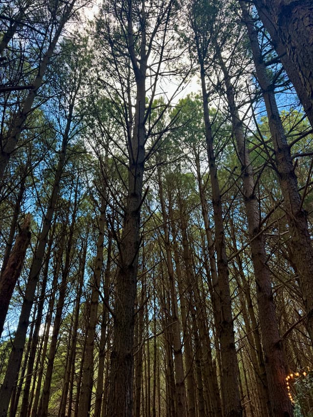 Punta del Este IMG_0639.jpg