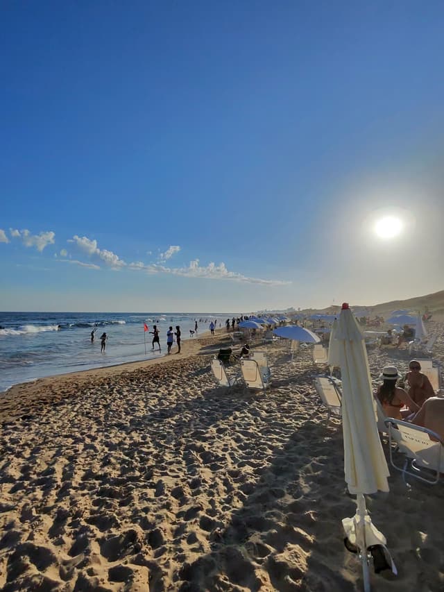 Sin clasificar photo-4829_singular_display_fullPicture.jpg