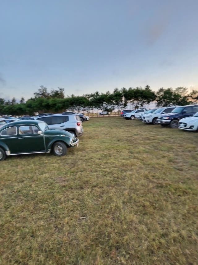 Sin clasificar photo-4891_singular_display_fullPicture.jpg