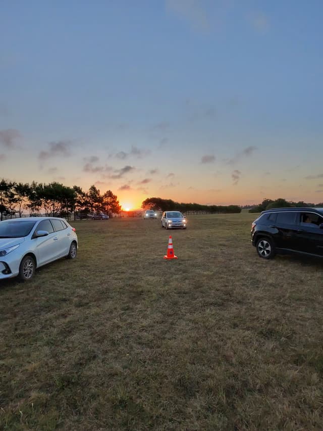 Sin clasificar photo-4894_singular_display_fullPicture.jpg